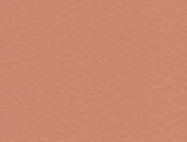 6146 Coral