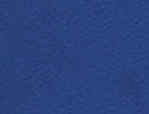 6430 Blue
