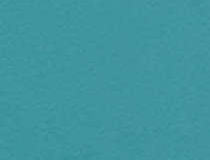 6431 Teal
