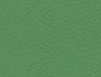 6556 Verde