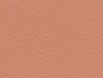 6157 Rosa