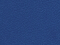 6614 Oceano